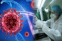 Chạy đua giải mã 'em trai' của biến thể Omicron