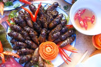 Khám phá các món ngon từ ve sầu, đặc sản hiếm có mùa hè