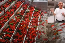 Nhà máy tương ớt lừng danh ở Mỹ của đại gia Việt