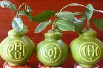 Chùm ảnh loại trái cây tạo hình độc lạ trưng Tết