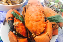 “Chảy nước miếng” đặc sản Vân Đồn níu chân du khách