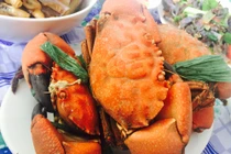 “Chảy nước miếng” đặc sản Vân Đồn níu chân du khách