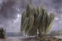 Cảnh đẹp như "thiên đường" nhờ... bàn tay con người