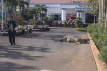 Nổ súng bắn hạ “trâu điên” húc 3 người trọng thương