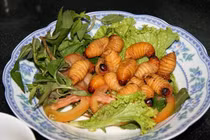 Những đặc sản vừa dị vừa ngon trên quê hương tân hoa hậu Phương Khánh