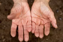 9 bộ phận cơ thể lão hóa sớm nhất “tố” tuổi tác thật của bạn