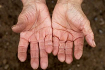 9 bộ phận cơ thể lão hóa sớm nhất “tố” tuổi tác thật của bạn