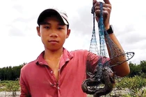 Kỳ thú săn cá mắt lồi độc nhất vô nhị ở cực Nam của Tổ quốc