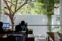 Văn phòng làm việc ở Huế nổi bật trên báo ngoại