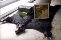 Gợi ý những kiểu thảm sàn độc lạ trang trí nhà