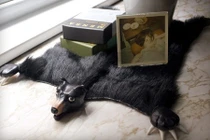 Gợi ý những kiểu thảm sàn độc lạ trang trí nhà