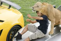 Đại gia kể chuyện dốc bạc tỷ nuôi mãnh thú