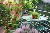 Gợi ý tạo khu vườn mini trang trí ban công nhà đẹp