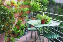 Gợi ý tạo khu vườn mini trang trí ban công nhà đẹp