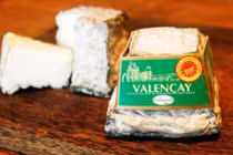 Cảnh báo phomai nhập khẩu từ Pháp về Việt Nam bị nhiễm E.coli