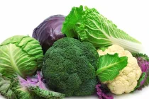 Mách khéo 4 thực phẩm giảm ung thư vú