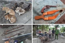 Bị vây bắt, nhóm "cẩu tặc" cầm hung khí chém 2 cảnh sát Nghệ An 