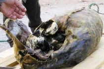 Những món ngon bốc mùi khủng khiếp nhất