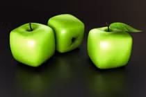 Tận mắt xem nông dân trồng táo vuông trăm nghìn/quả