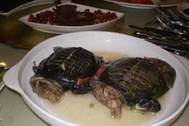 Kinh hãi món súp rùa sống nguyên con được xem là bổ thận tráng dương