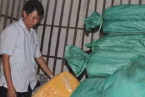 Hơn 8 tấn cá ở Hà Tĩnh nhiễm kim loại có thể gây ung thư