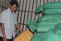 Hơn 8 tấn cá ở Hà Tĩnh nhiễm kim loại có thể gây ung thư