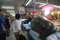 Cá khổng lồ gây náo loạn ở chợ