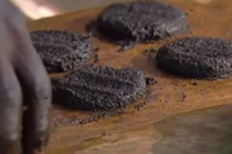 Phát khiếp món hamburger được làm từ... 500.000 con ruồi