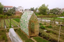 Báo ngoại kinh ngạc với nhà bằng chai nhựa ở Hà Nội