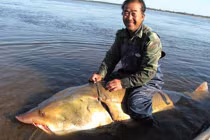 Những thủy quái khủng bị con người chinh phục (5)