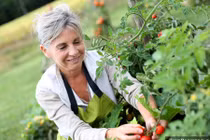 Tiết lộ 10 nghề nghiệp hạnh phúc nhất thế giới