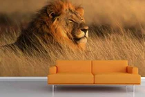 Sững sờ những kiểu tranh dán tường 3D độc đáo (2)