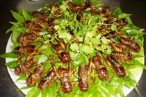 Món đặc sản vừa ăn vừa run ở Long Khánh