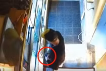 Tên trộm liều lĩnh ăn cắp trăn quý nhét vào trong quần