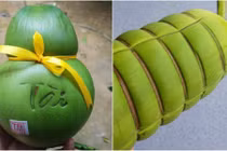 Điểm những giống dừa độc lạ “hái ra tiền” ở Việt Nam