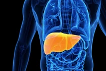 Bệnh nhân có thể sống bao lâu sau khi được ghép tạng?