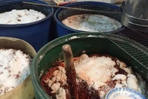 Rùng mình giòi bò lúc nhúc trong 7 tấn tương ớt