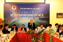 4 người không đồng ý bỏ tiêu chí bằng cử nhân, Đại hội VFF tiếp tục hoãn