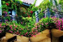 Những ý tưởng thiết kế vườn hoa ban công tuyệt đẹp