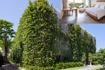 Khách sạn Việt Nam phủ kín cây xanh gây sốt báo Tây