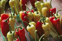 13 thực phẩm đốt cháy mỡ hiệu quả