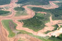 Cận cảnh nhánh sông Bé hạ nguồn thủy điện Thác Mơ khô cạn như sa mạc