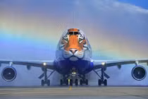 Giật mình máy bay hình đầu hổ sừng sững hạ cánh