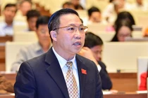 ĐBQH nói về đơn kêu cứu của bà Lê Hoàng Diệp Thảo?