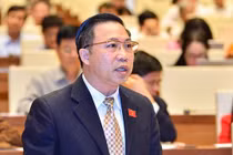 ĐBQH nói về đơn kêu cứu của bà Lê Hoàng Diệp Thảo?