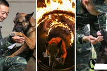 Ngắm xem cảnh sát Trung Quốc huấn luyện chó nghiệp vụ