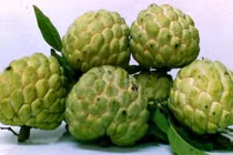 Nếu bạn thường xuyên ăn na điều gì sẽ xảy ra với cơ thể? 