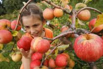 Thực phẩm thải độc cơ thể nên ăn mỗi ngày