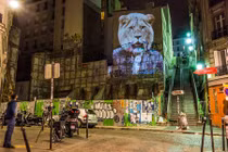 Tranh trang trí tường hình thú sống động trên các tòa nhà