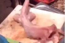 Cá đã bị làm thịt bỗng ‘sống lại’ khiến dân tình hú vía